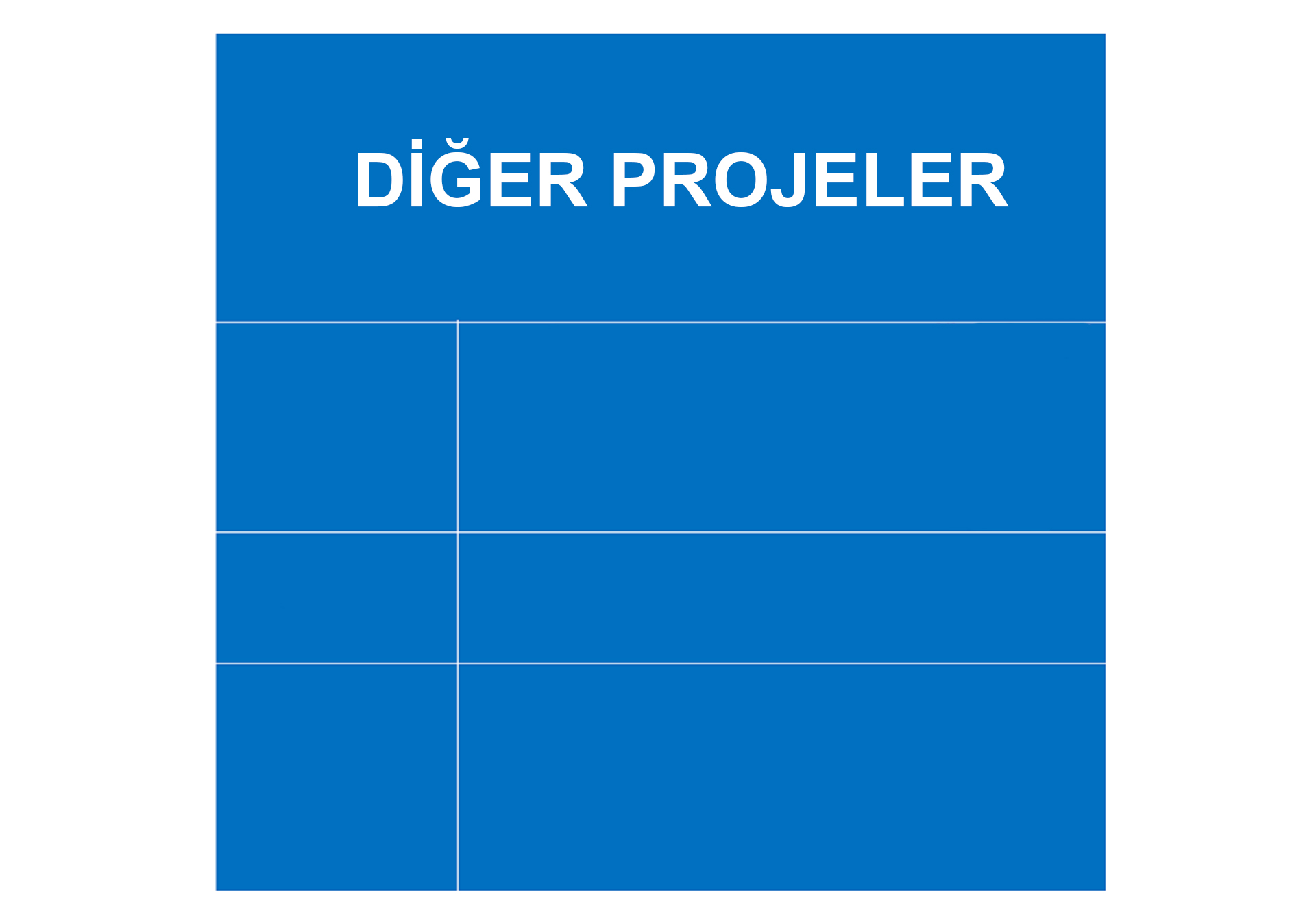 DİĞER PROJELER